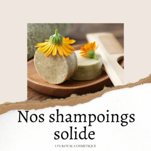 shampoing solide
